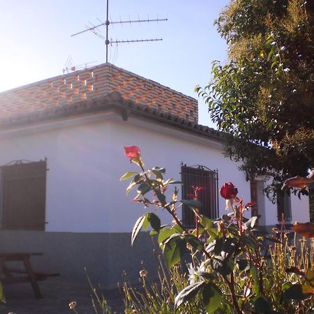 Casa Los Olivos Gravalos Luaran gambar